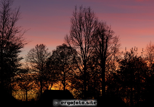 Sonnenuntergang Hofgarten