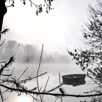 Nebel über der Isar 