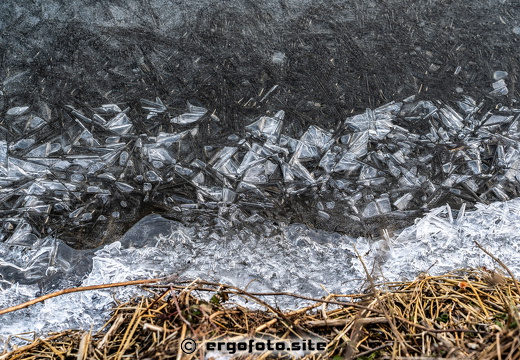 Eiskristallwelt am Ufer