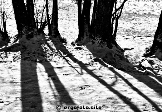 Licht und Schatten Spiel