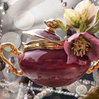 Lenzrosen mit Morgentau 